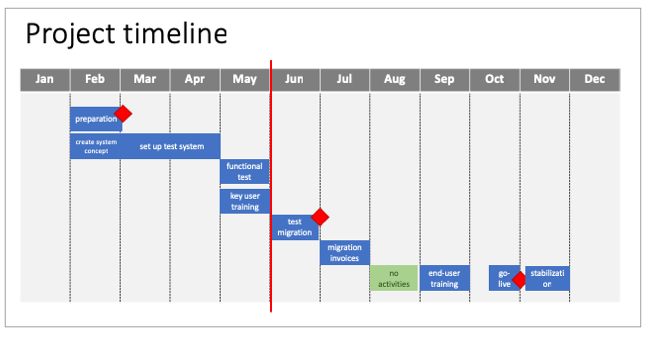 Project timeline presented during a steering committee meeting.