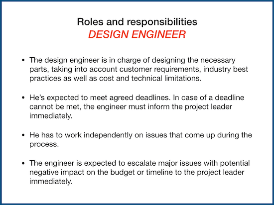 roles and responsibility example