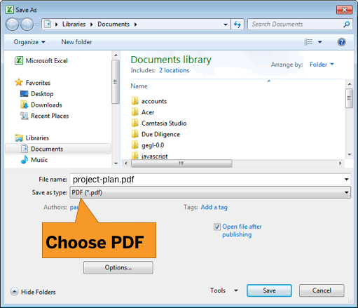 exporting the project plan in PDF format for easy sharing