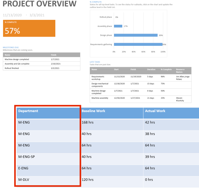 MS Project report which includes the department name