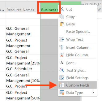 Editing a custom field to mark critical tasks