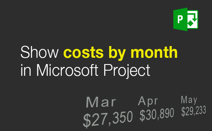 MS Project: How to show costs by month