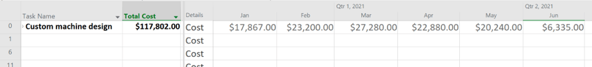 MS Project: project costs by month