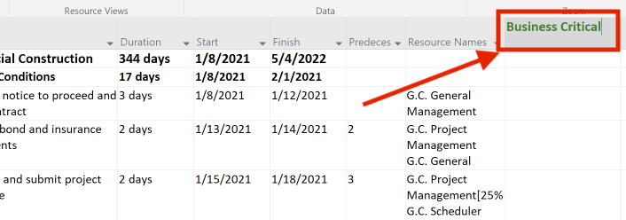 New field: business critical to mark critical tasks in Microsoft Project