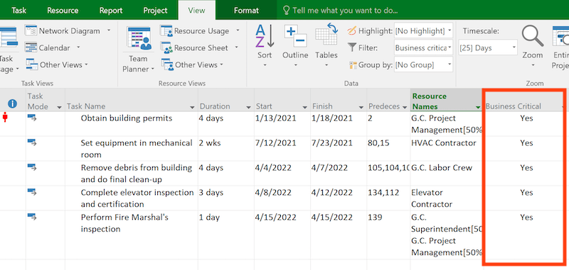 MS Project: Showing only tasks marked as critical