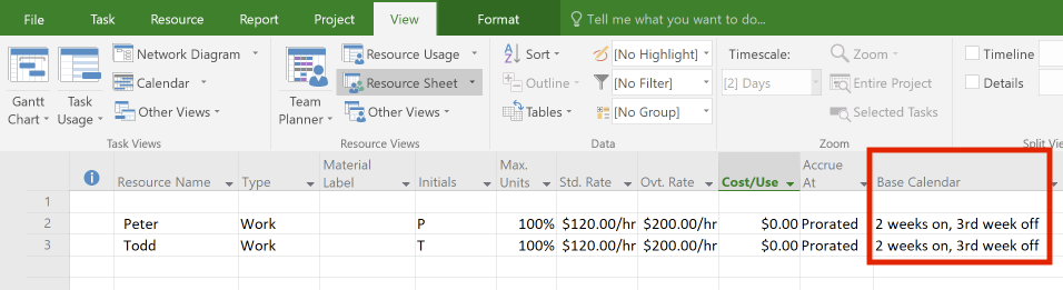 Team members with custom resource schedule in Microsoft Project