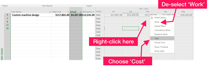 Showing monthly costs in the Task Usage view in MS Project