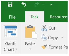 Microsoft Project Example:Program options