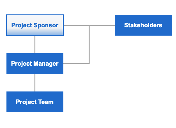 The project sponsor is usually several levels above the project manager (in terms of the management level)