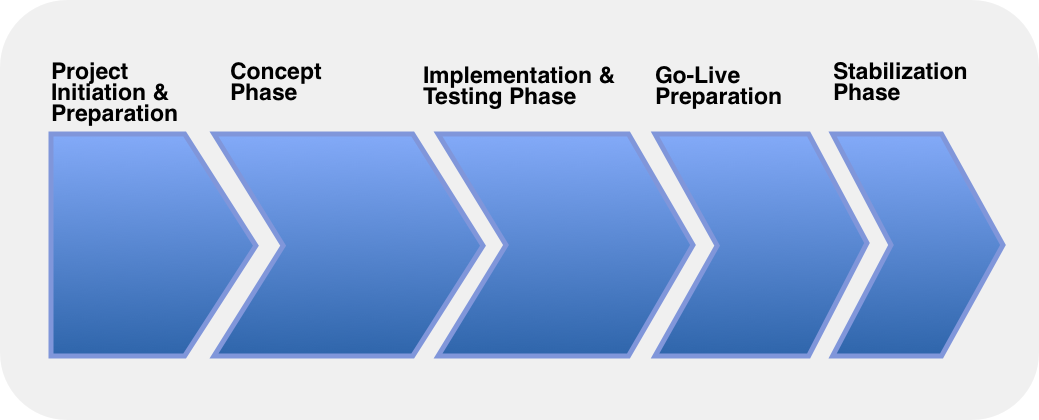 ERP Implementation Project Plan: Approach + Project Plan Template