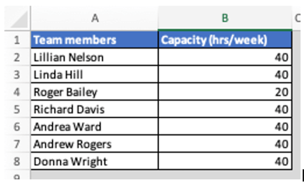 Team members list used for creating the resource utilization report in Excel