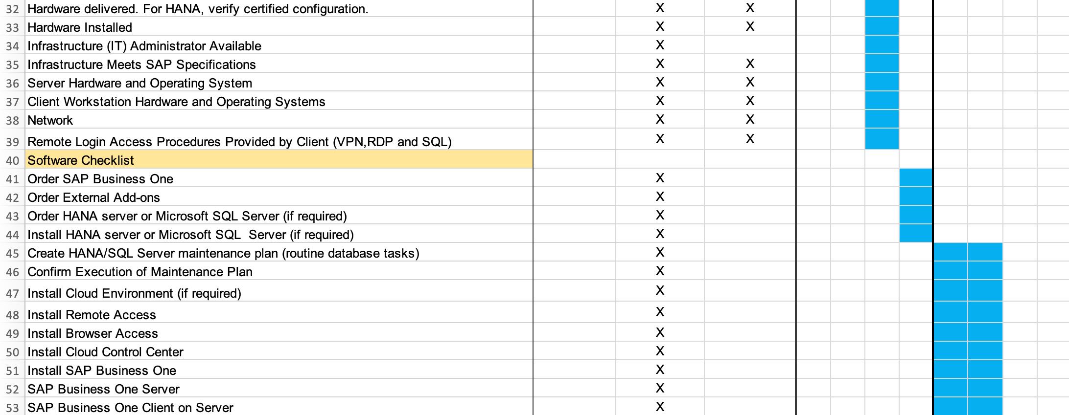 The SAP B1 Project Plan template includes a technical checklist including software and hardware requirements.